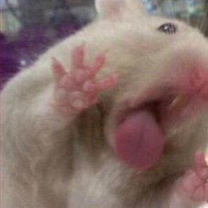 Meet your Posher, Mercedes